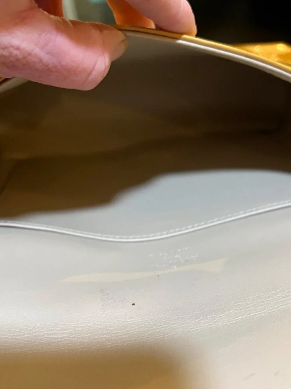 Louis Vuitton authentic louis